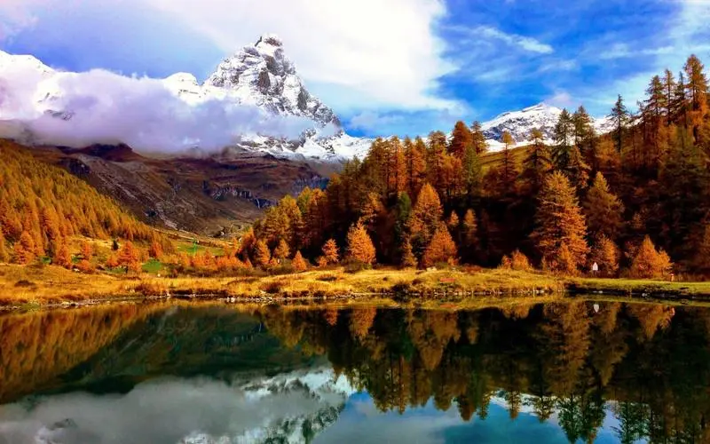 高精度节能智慧工厂